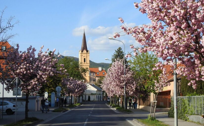 Exchange in Nitra